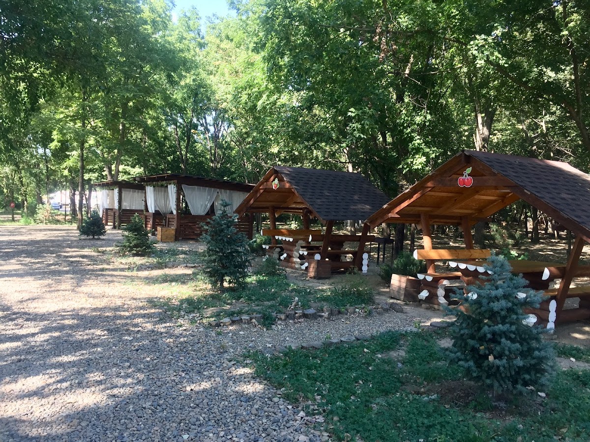 База Отдыха Малиновка - photo 5