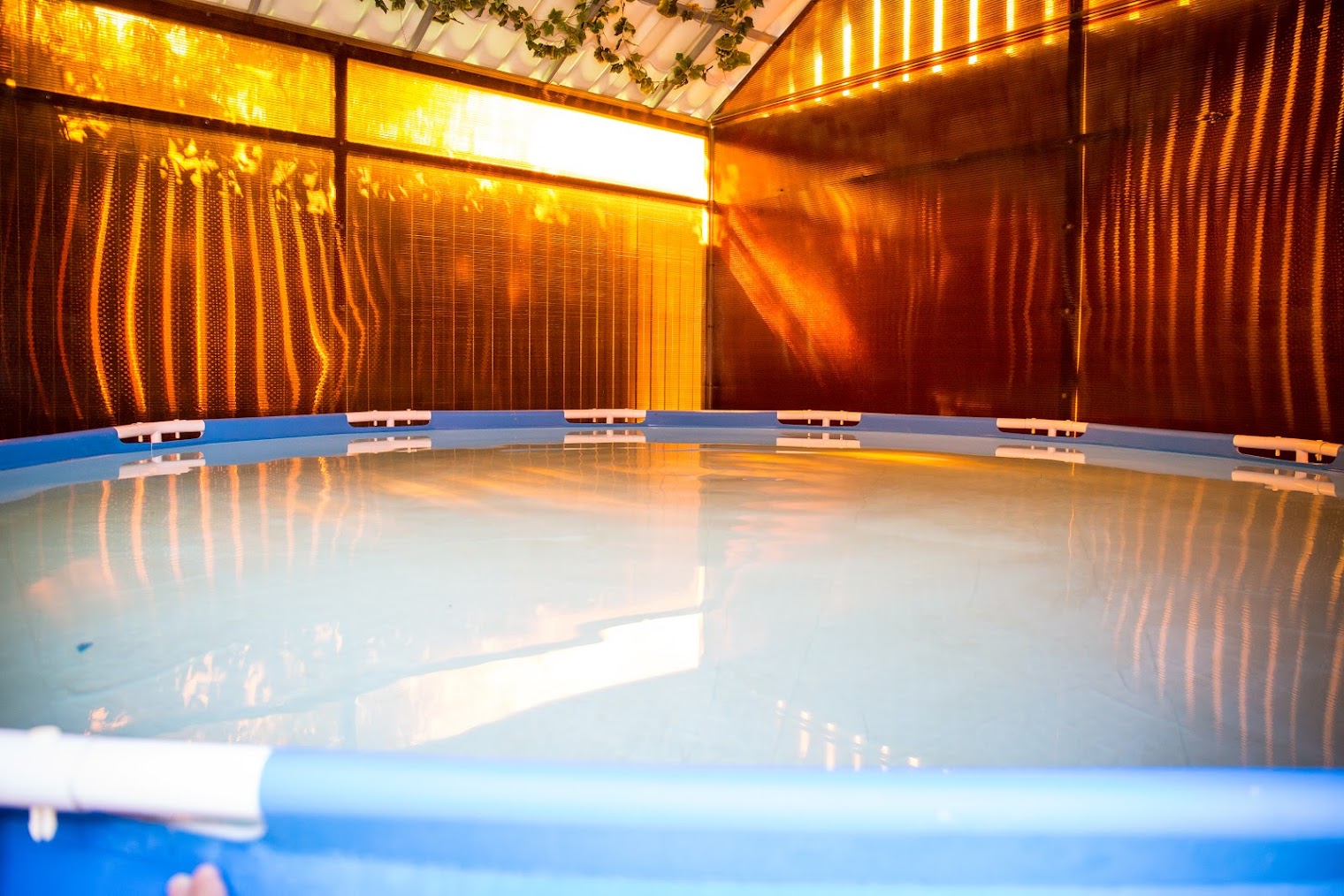 Островок комфорта