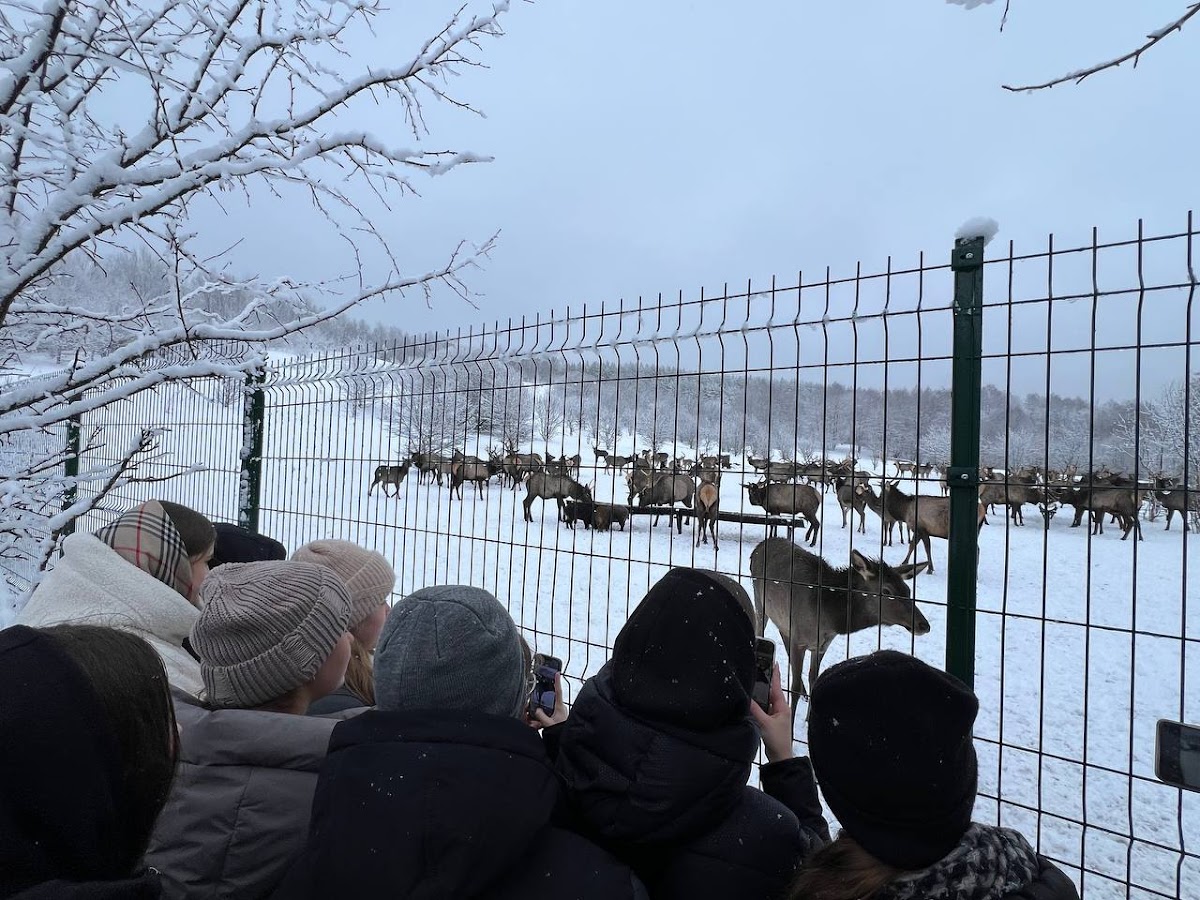 Лесная Слобода - photo 2