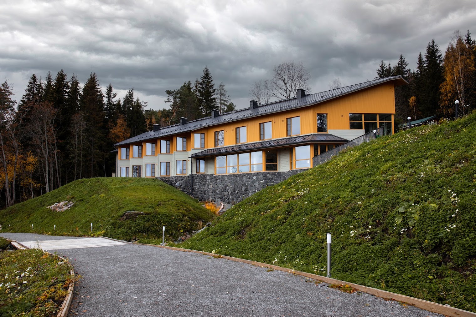 Дикий Шоколад