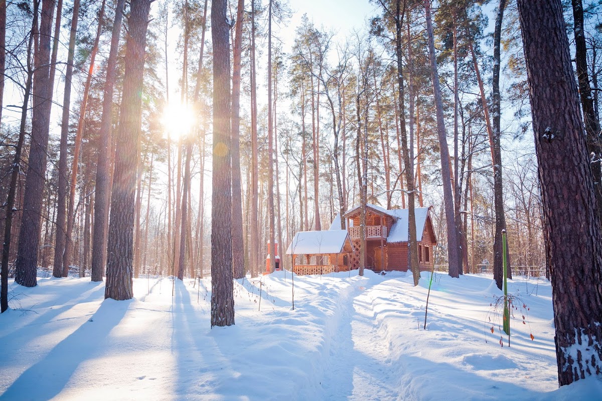 Жемчужина леса - photo 3