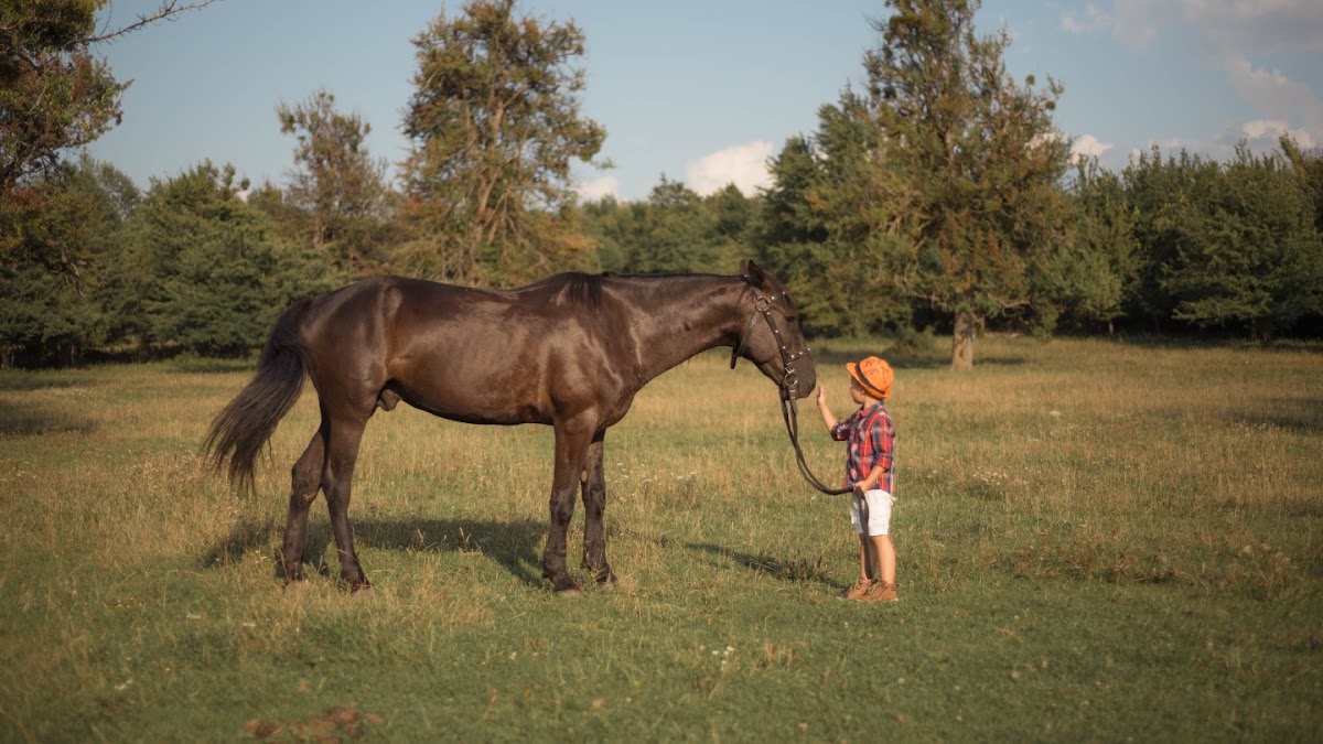 Конные прогулки - photo 3