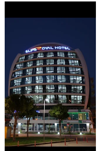 Minihotel Dolphin - photo 3