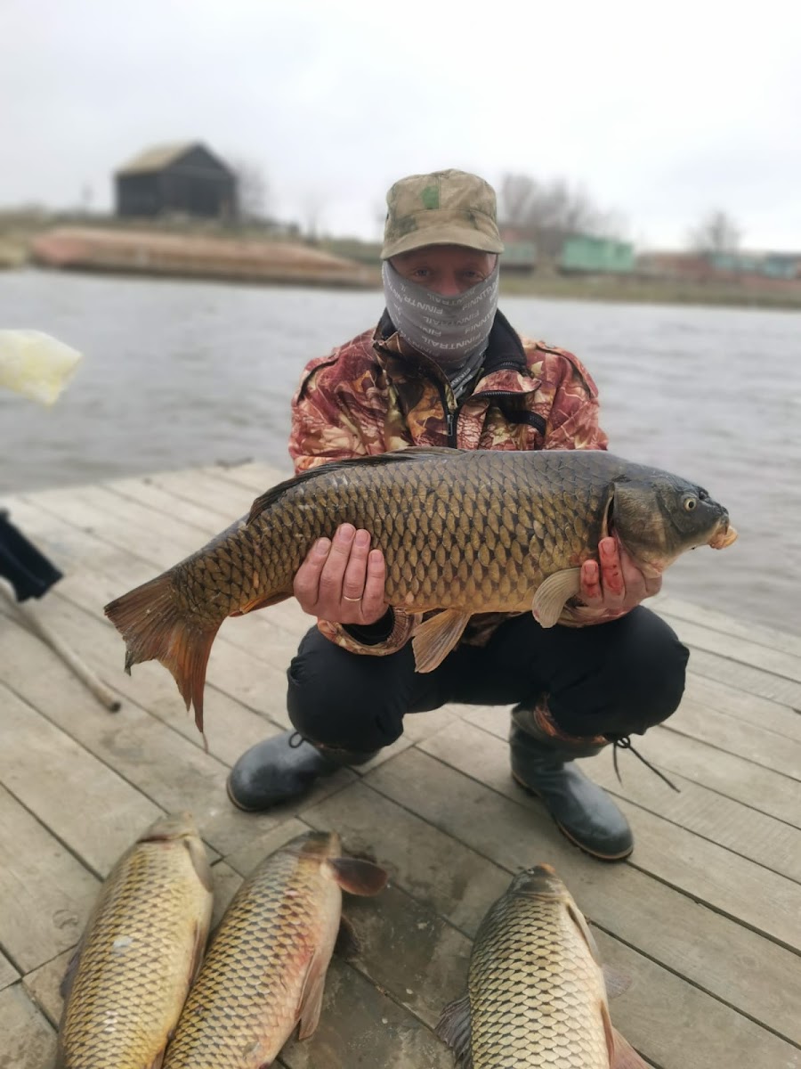 Зелёный остров 54 - photo 4