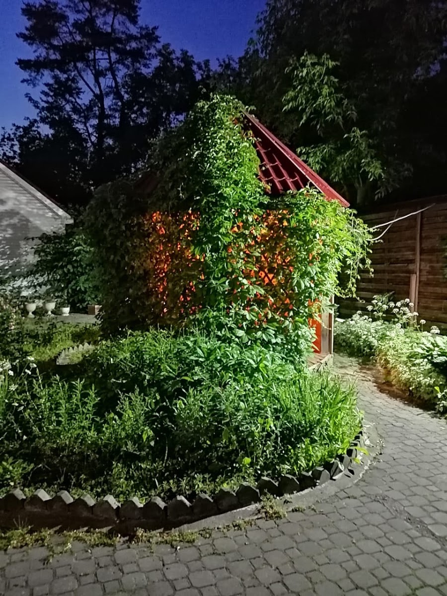 Четыре короны - photo 3