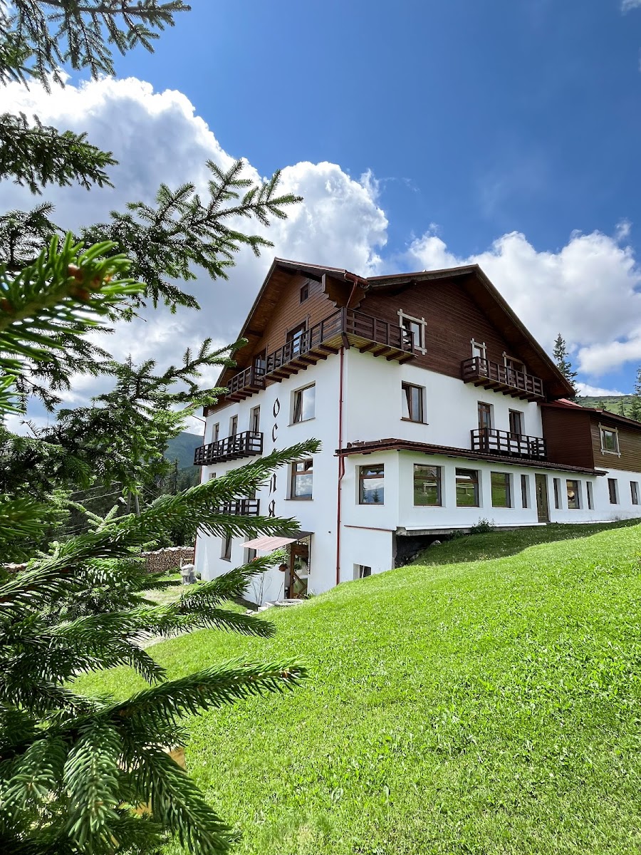 У Роберта - photo 4