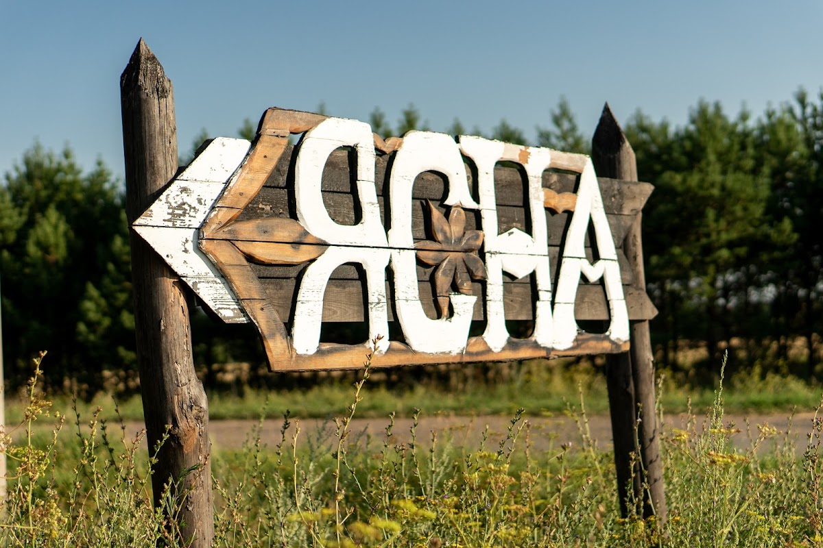 Ясна Тур - photo 4