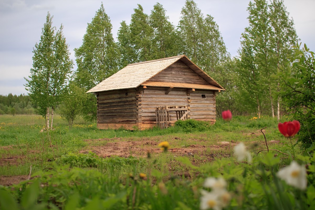 Дом под липой - photo 4