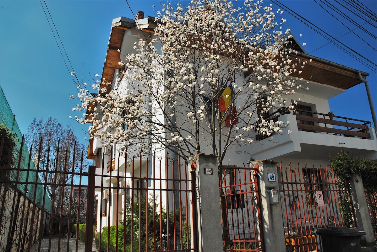 Гостиница "Остров" - photo 2