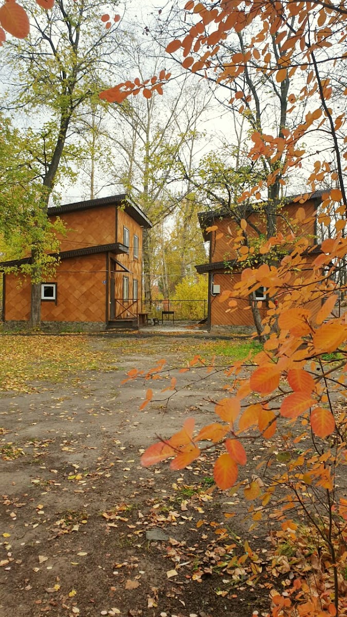 Займище - photo 4