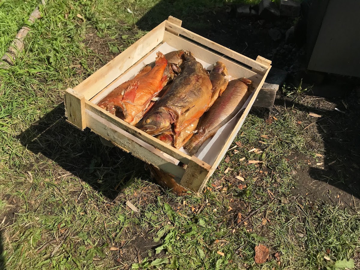 Дом и река - photo 4