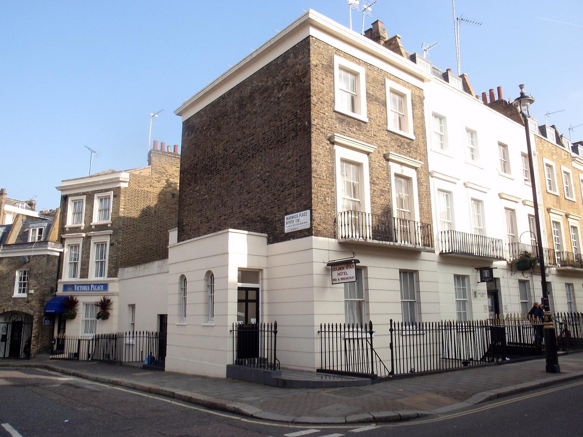 Golden Star Hotel - photo 2