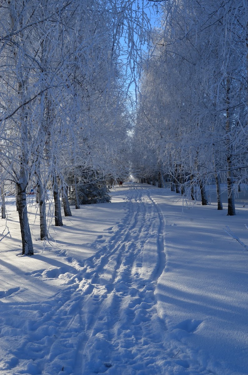 Горнолыжный клуб Леонида Тягачева - photo 3