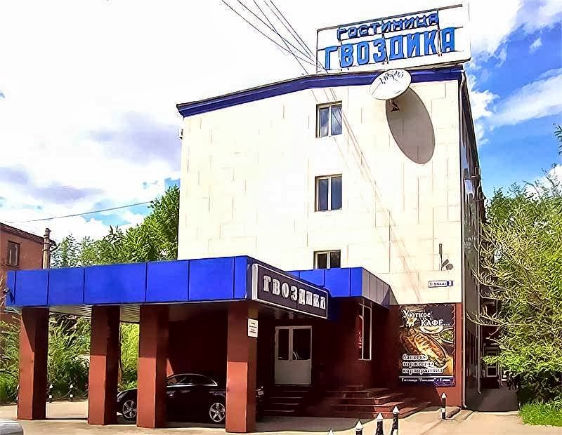 Гвоздика - photo 3