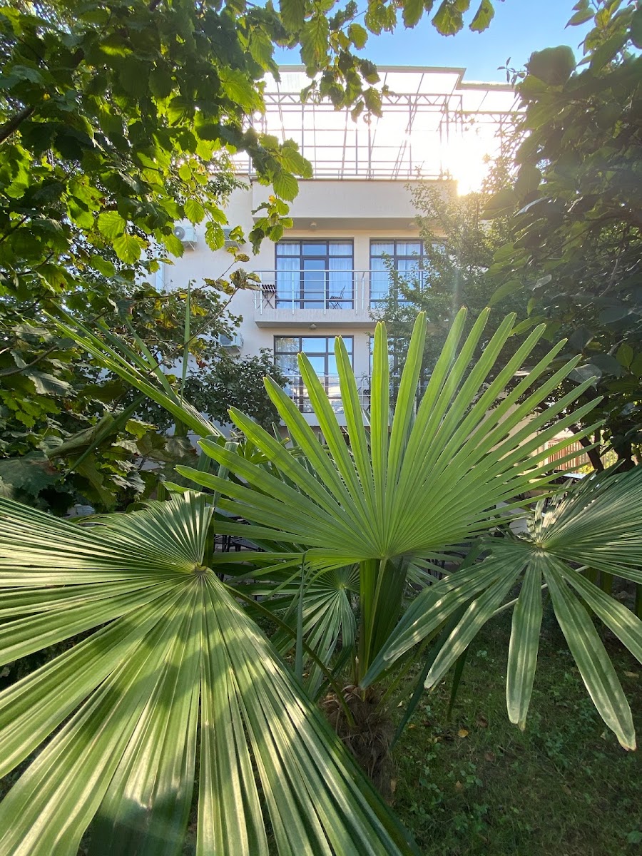 AMIGO на Морской - photo 4