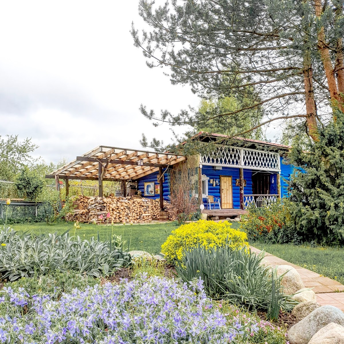 Петровский - photo 4