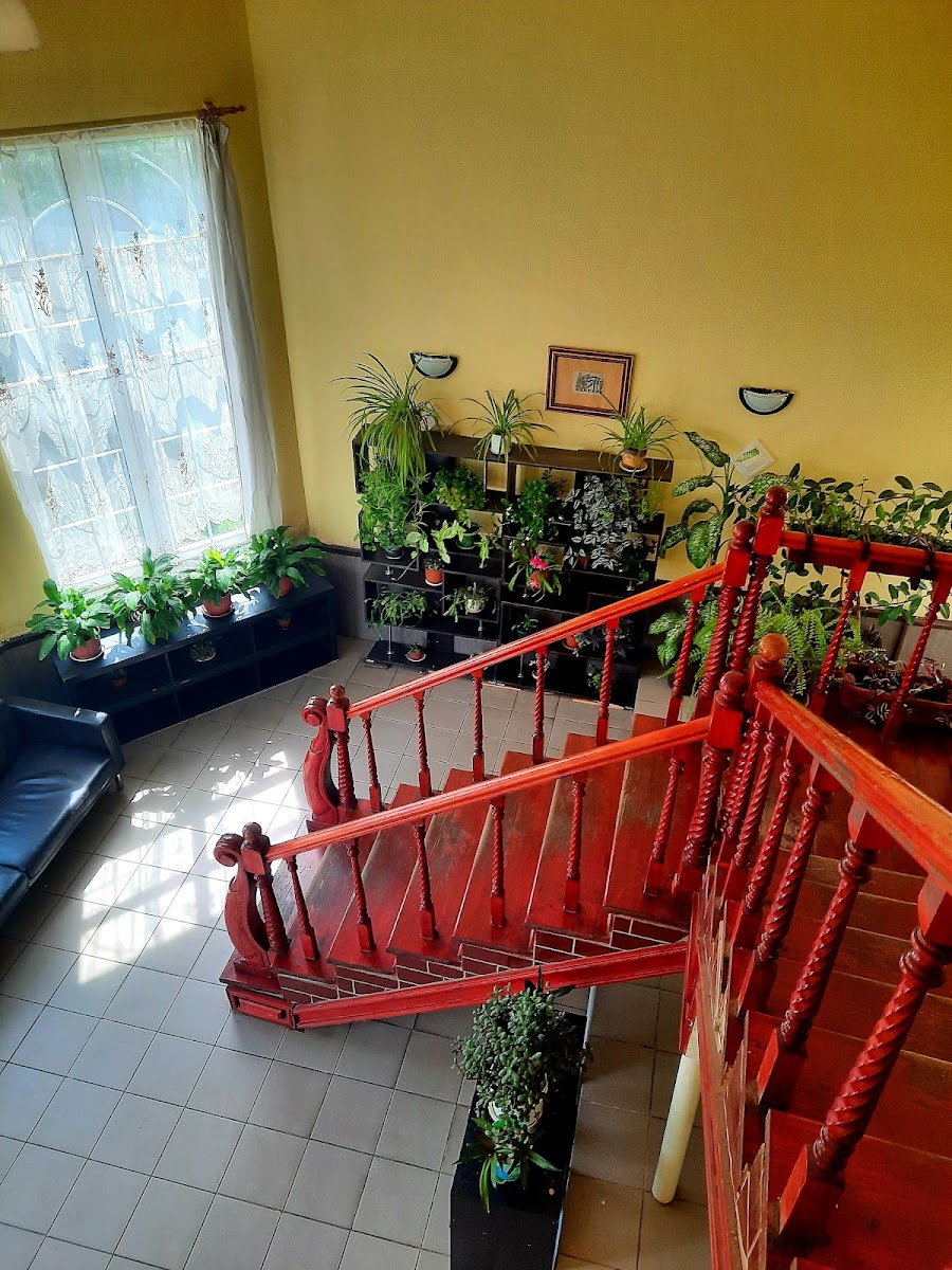 Гостиница Новая - photo 5