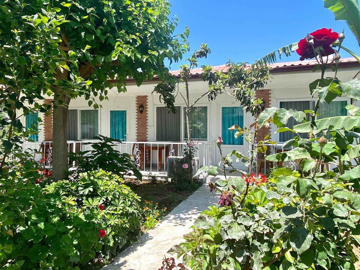SOLTO - photo 3