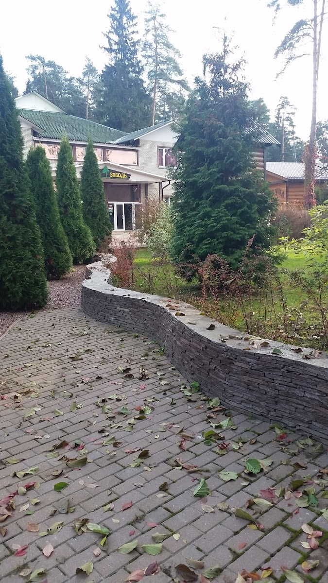 Тихая Заводь - photo 3