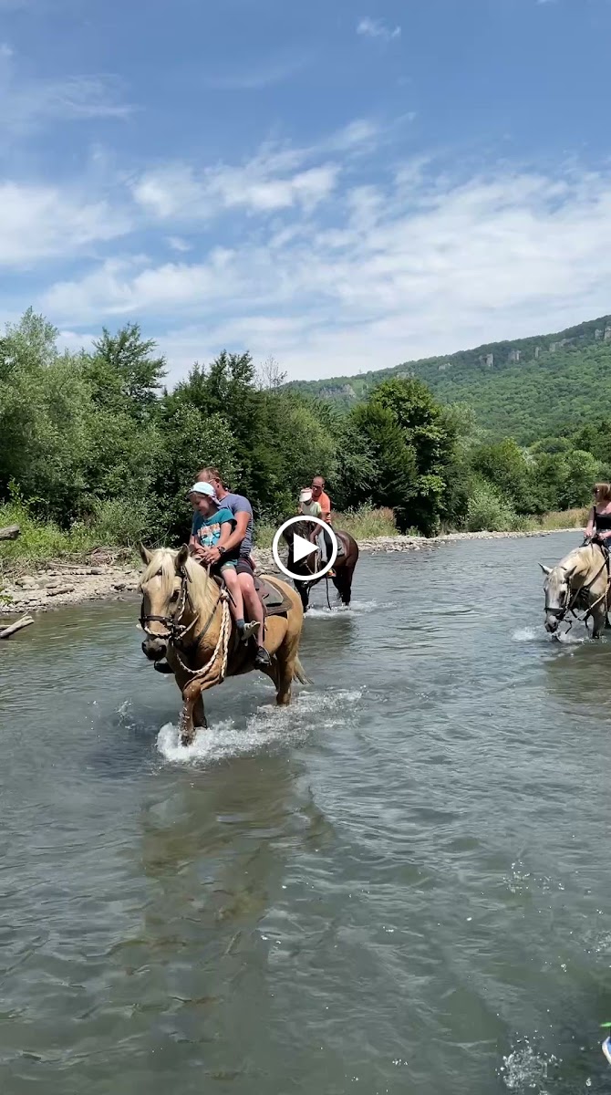 Конные прогулки - photo 4