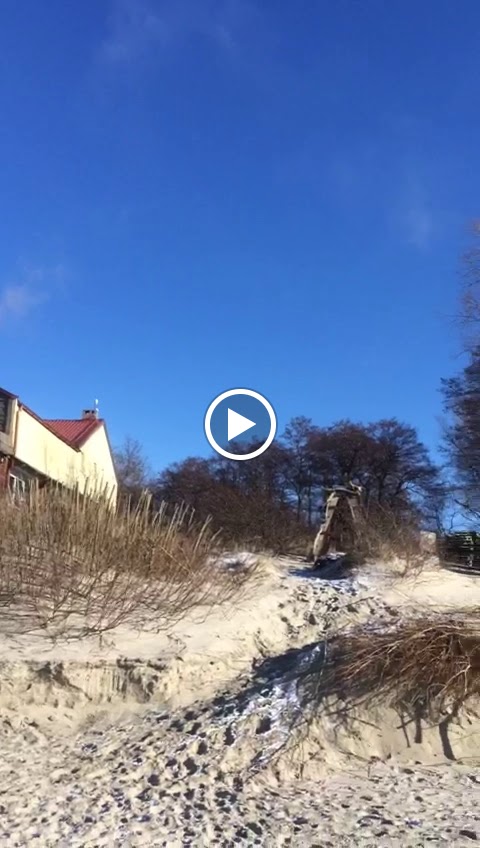 Арт-деревня Витланд - photo 3