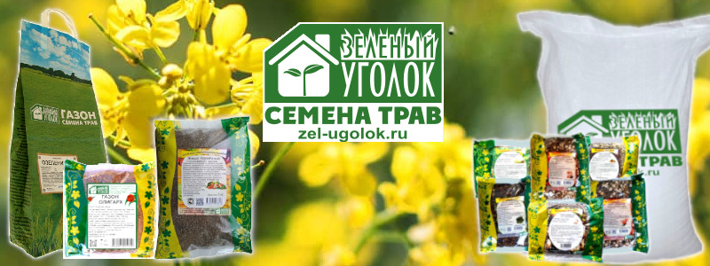 Зелёный уголок