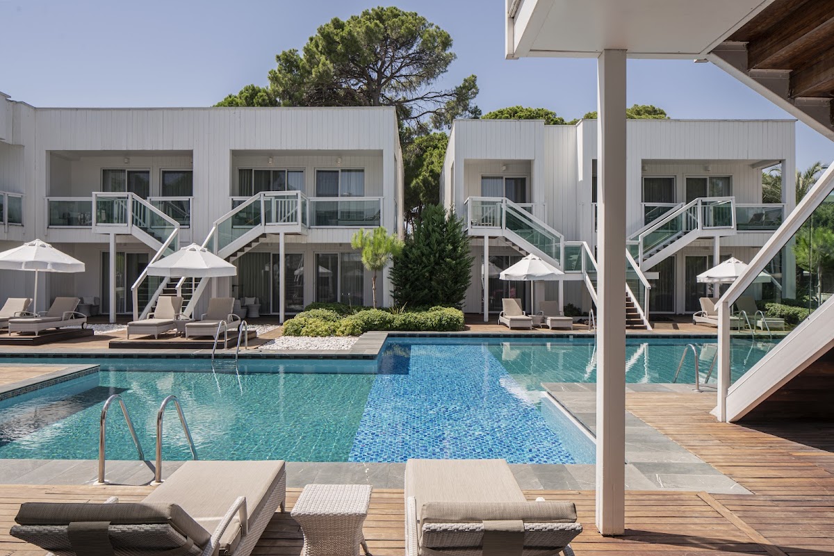 Визит - photo 4