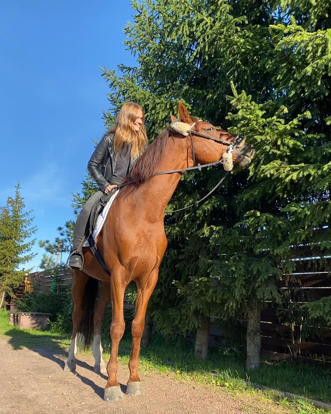 База Отдыха "Парк-отель СОЙКИНО"