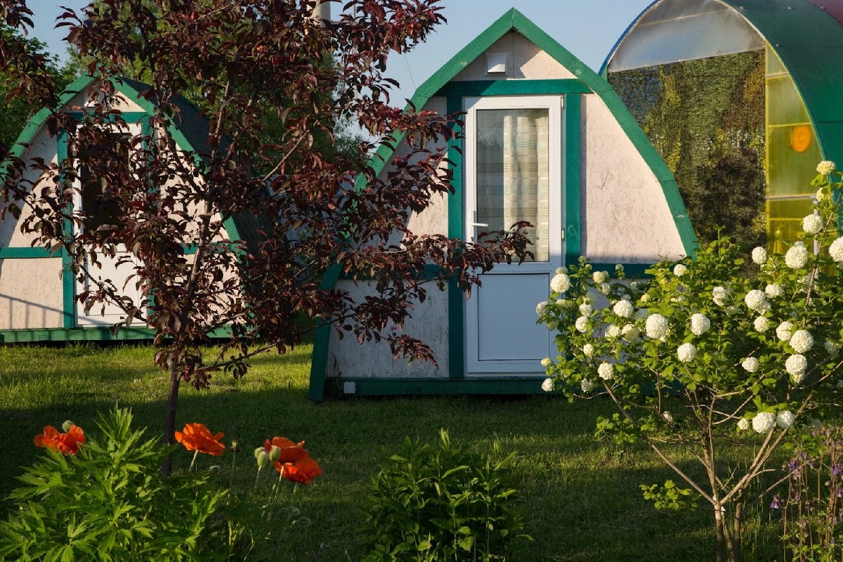 Звездный лес - photo 3