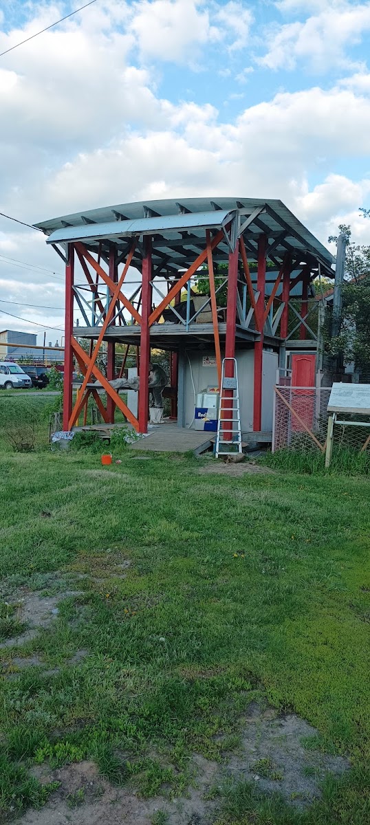 Эко-турбаза "Лукоморие" - photo 4