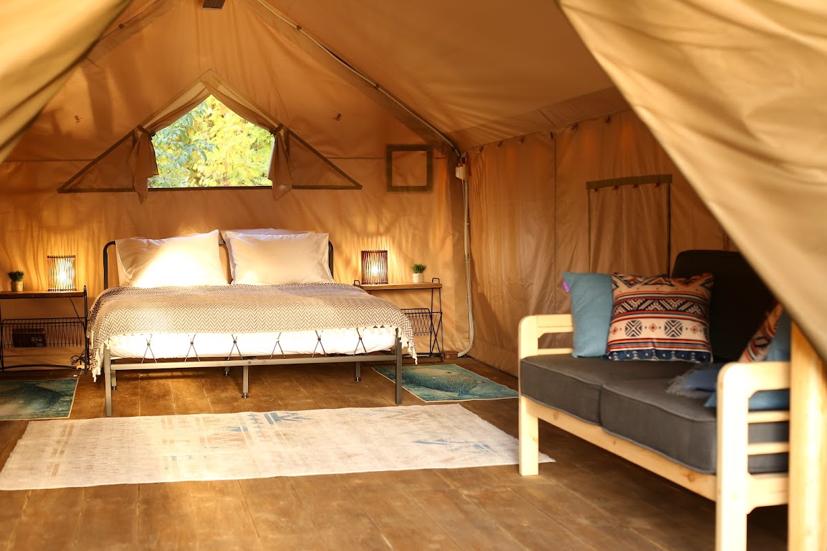 База отдыха Пычанки - photo 2