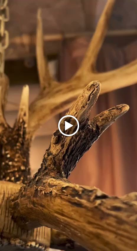 Дизайн - Отель Шампань - photo 3