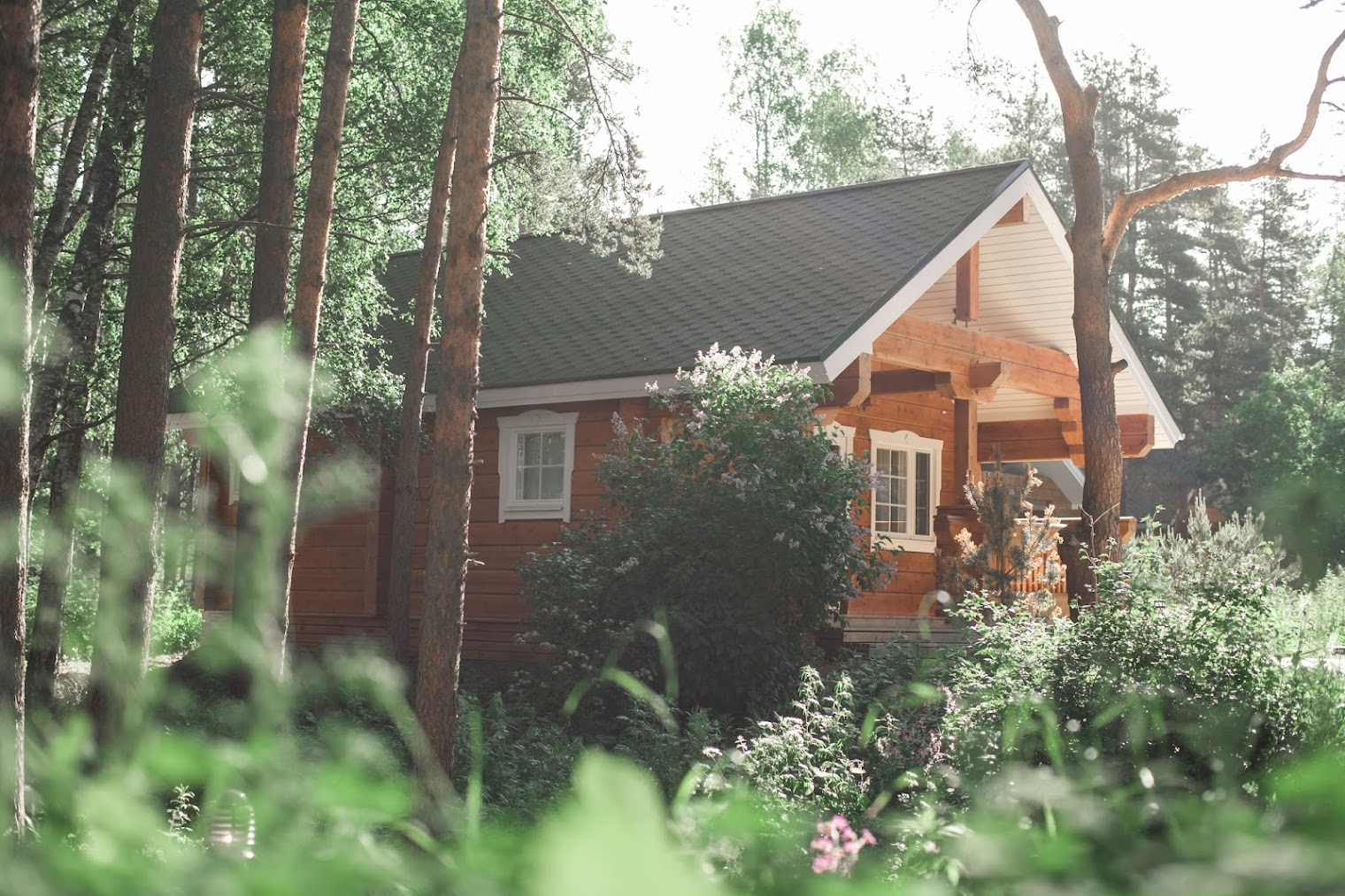 Экоотель Лес озеро Зеркальное