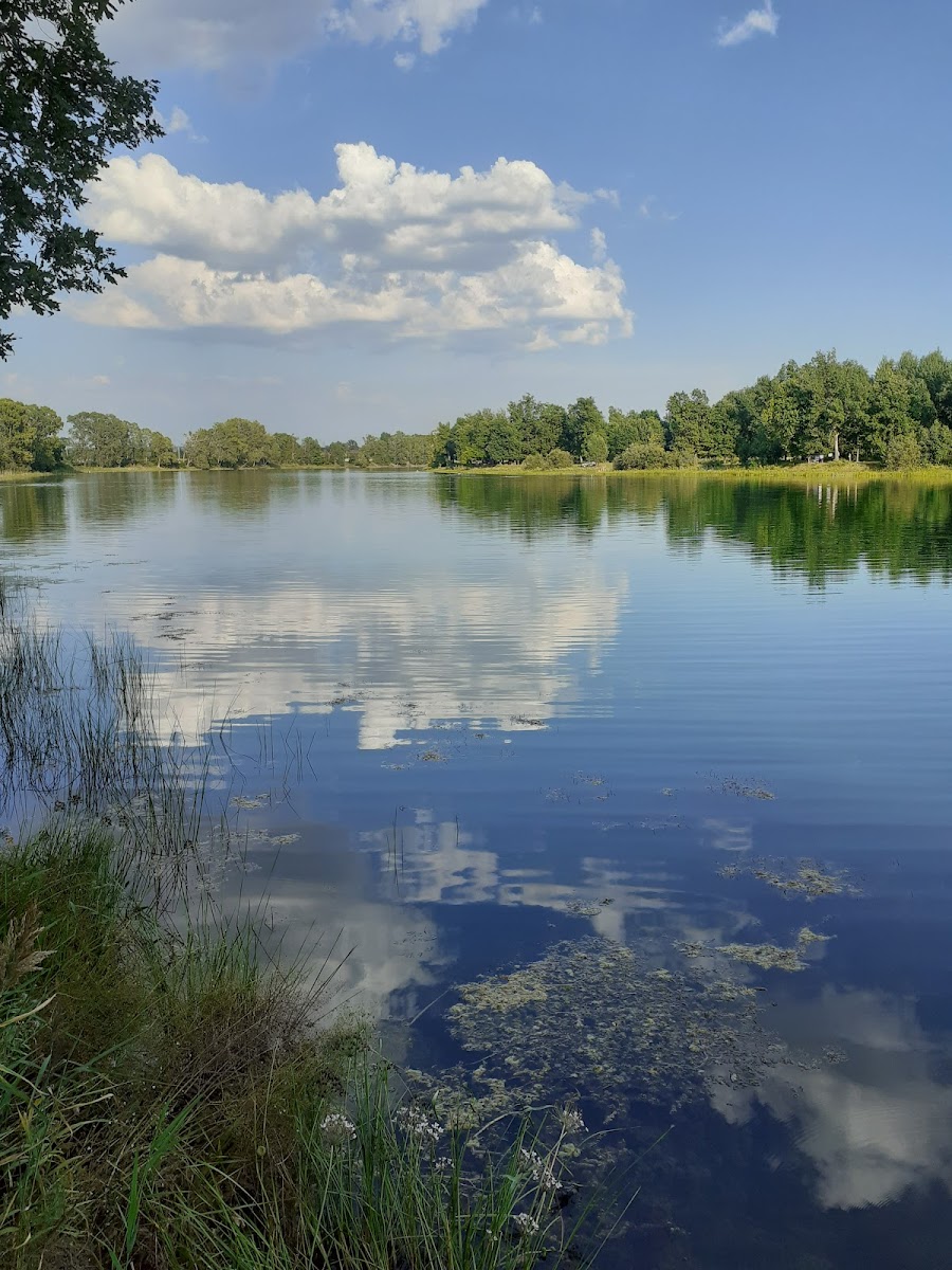 ЗeБирск - photo 4