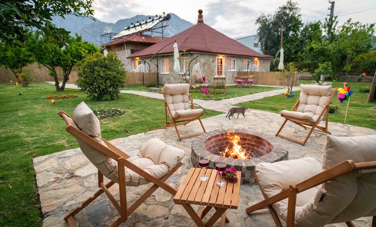 Форест - photo 2