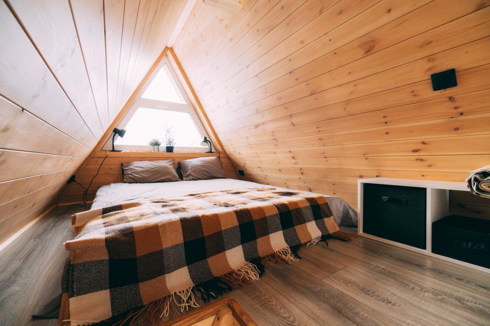 Ёлки Кэмп - photo 3