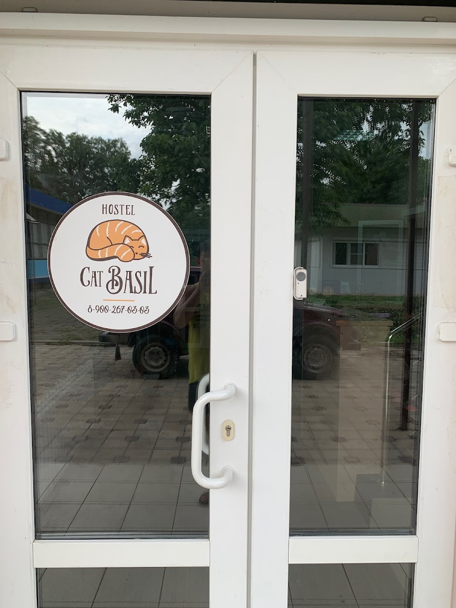 Южная ночь - photo 2