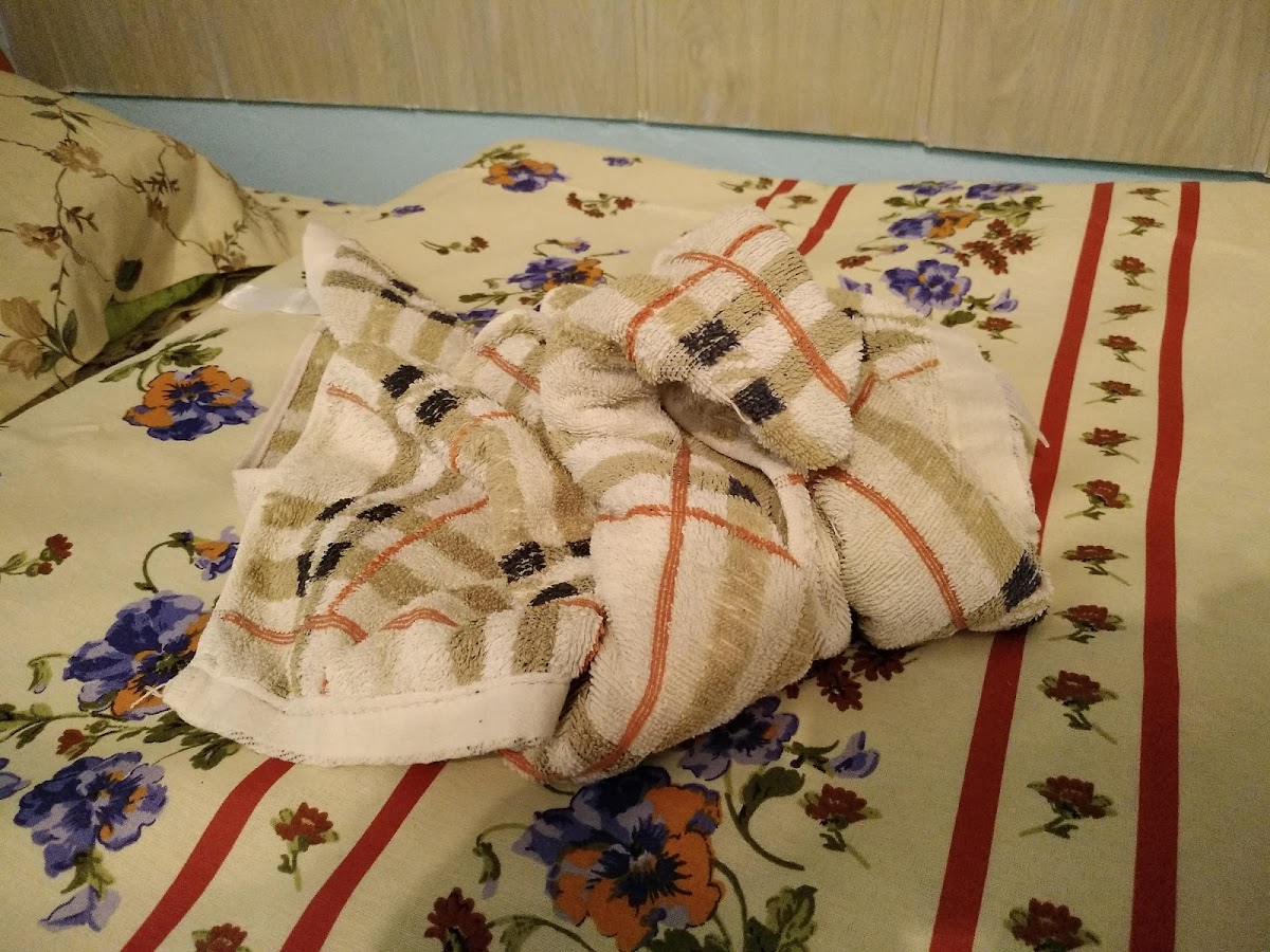 Гостевой дом ПАНОРАМА - photo 5