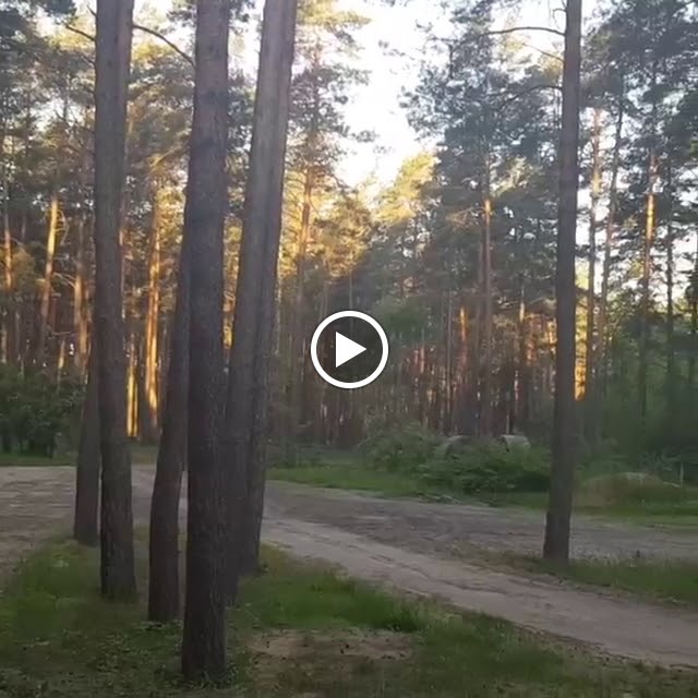 гостиница "Янтарная" - photo 3