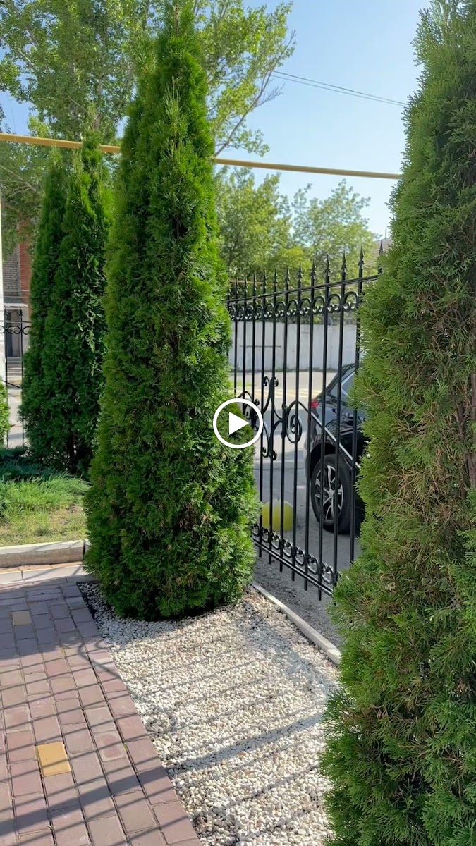 Гостиница «Светлана» - photo 5