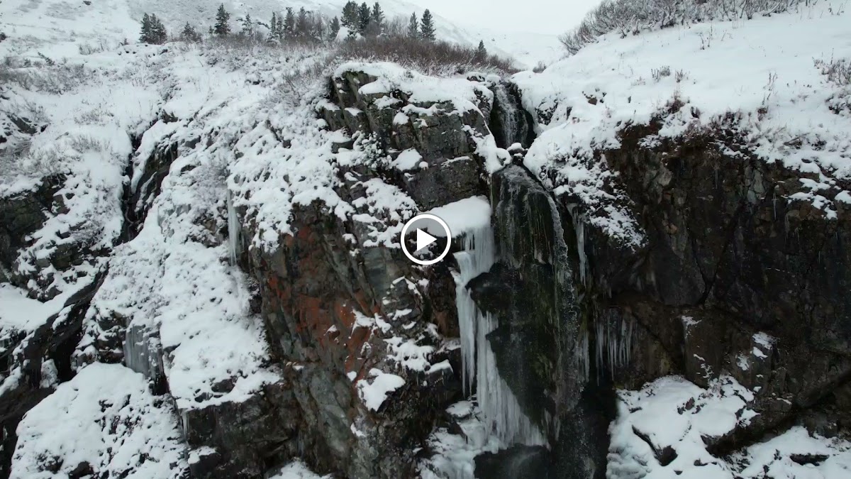 Больничка+ - photo 4