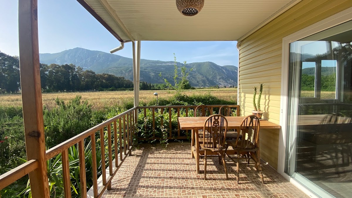 River House - photo 2