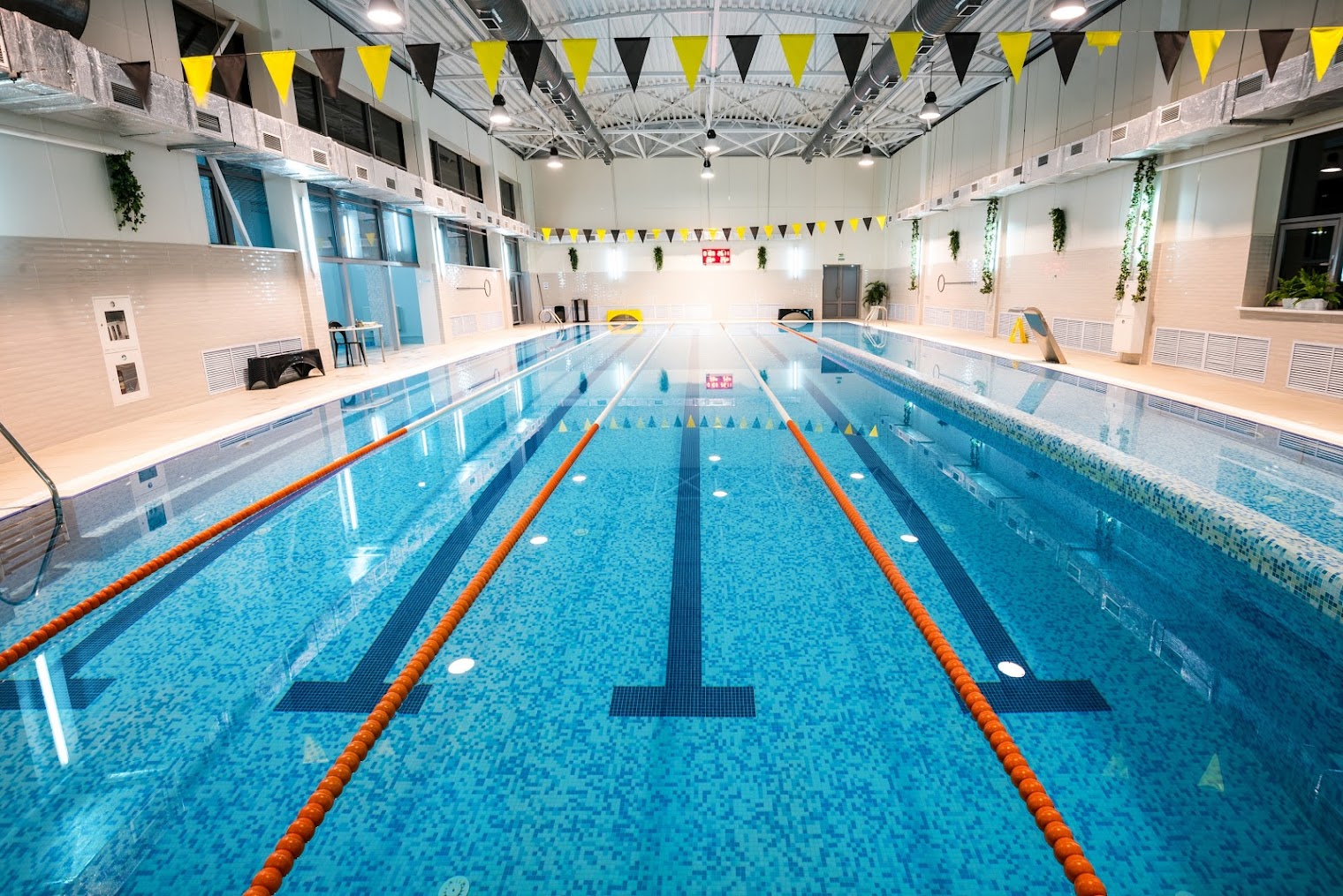 Велнес-центр AVAX