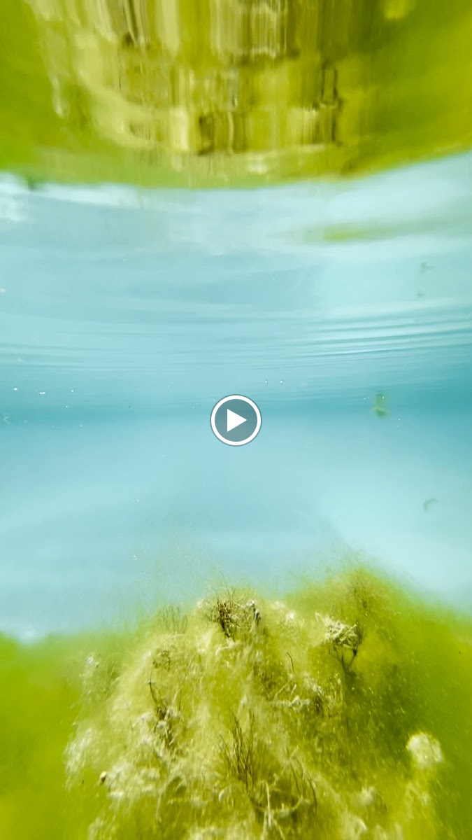 Отель "Гейзерное озеро" Green Kolobok - photo 3