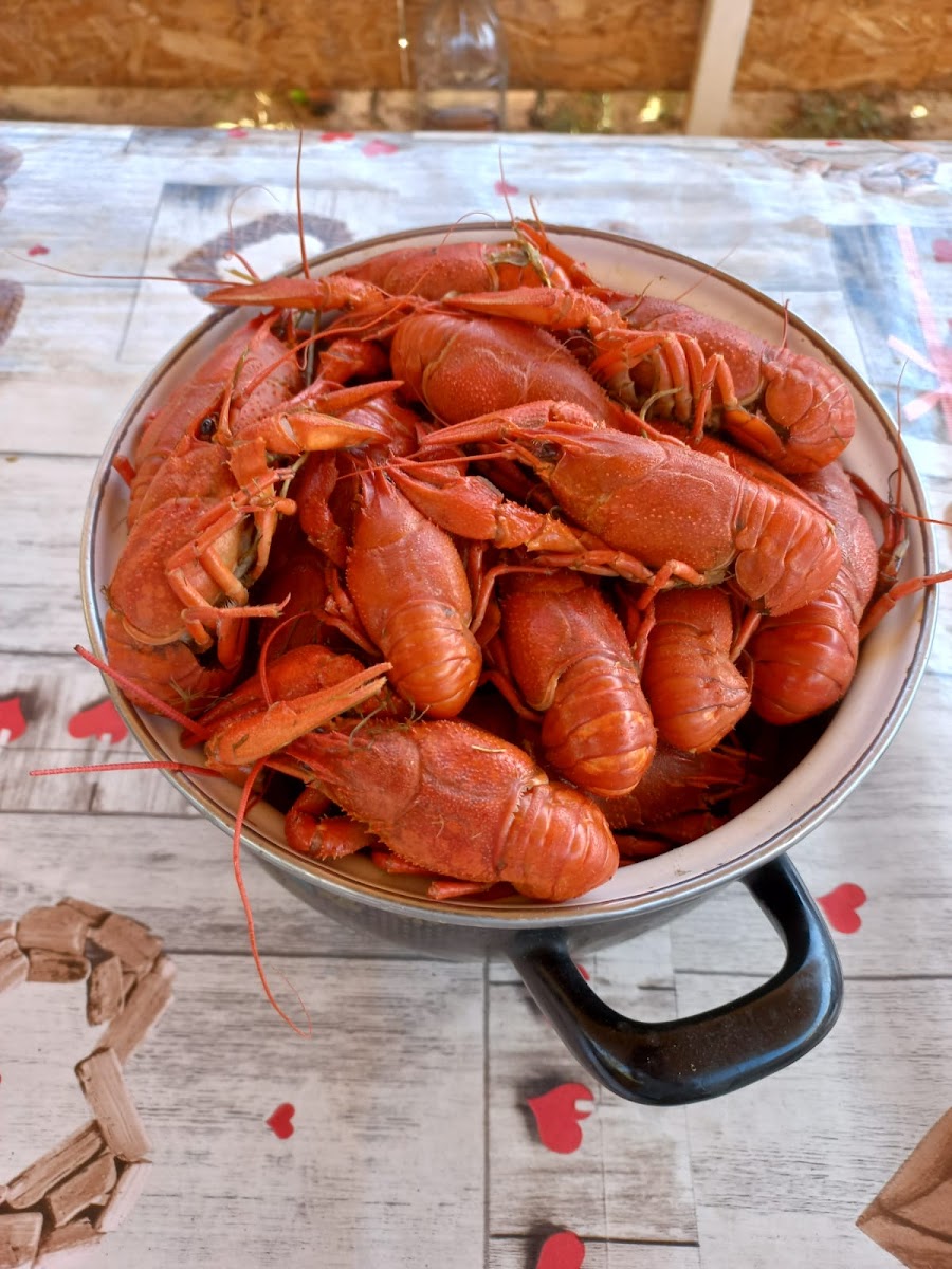 База отдыха Мёд - photo 4