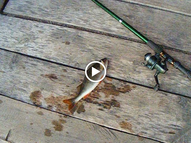 Гостиница "Усадьба Арлазорова" - photo 5