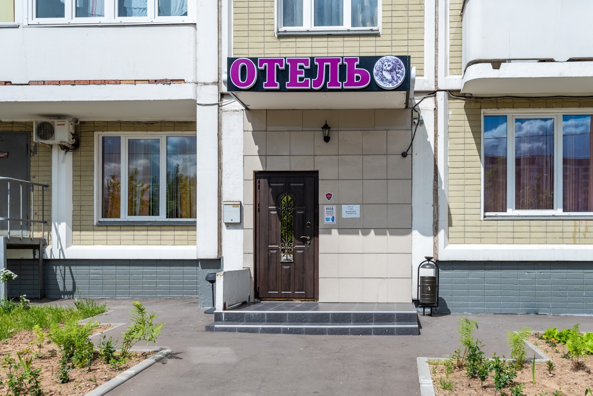 ОТЕЛЬ ОСКАР НЕКРАСОВКА - photo 4