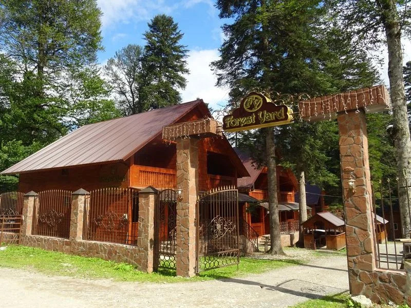 Forest Yard Отель - photo 2
