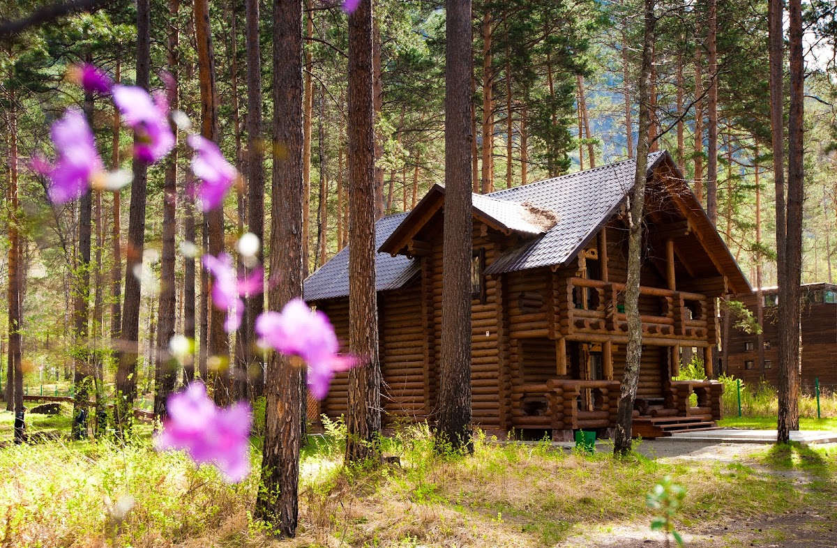 Царская охота - photo 5