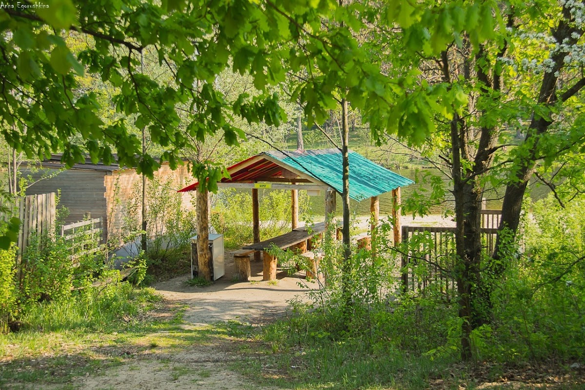 Большая Медведица, Загородный Клуб - photo 4